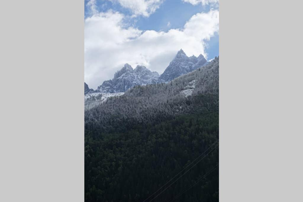 Studio Face Au Mont-Blanc Appartement Chamonix Buitenkant foto