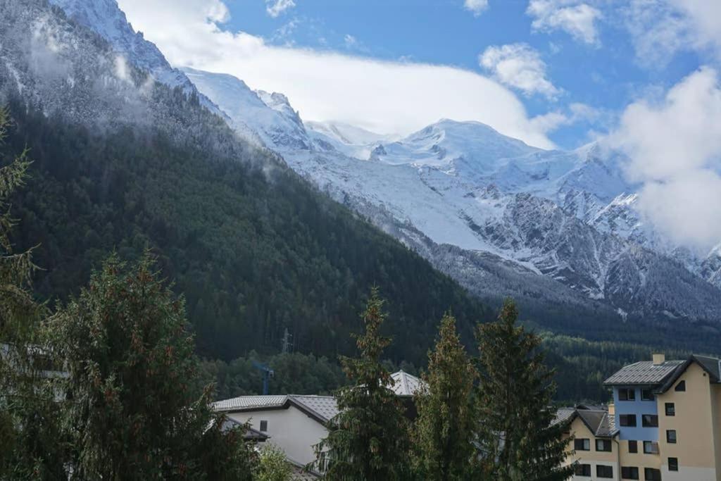 Studio Face Au Mont-Blanc Appartement Chamonix Buitenkant foto